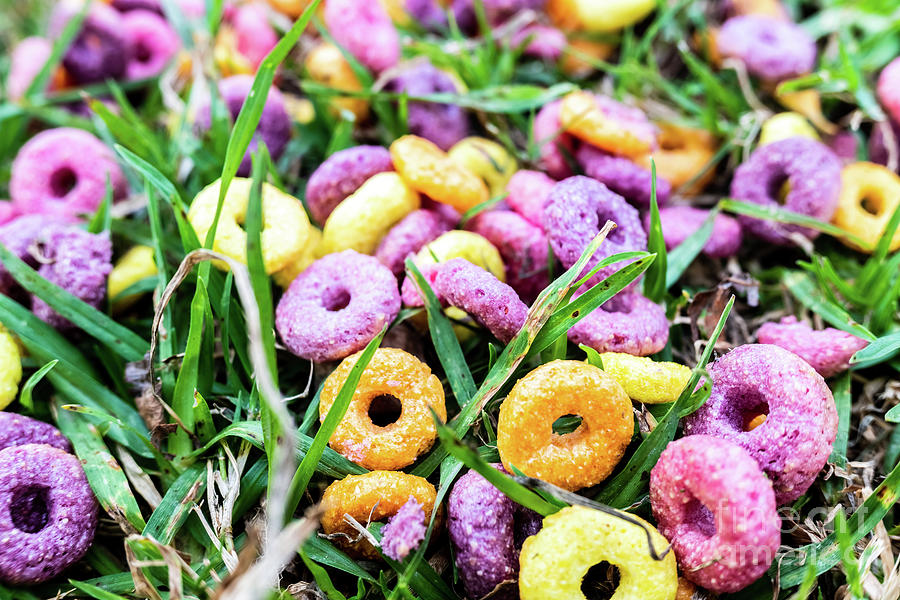 Detail Of A Ring Cereal Breakfast Of Bright Colors Scattered On Photograph