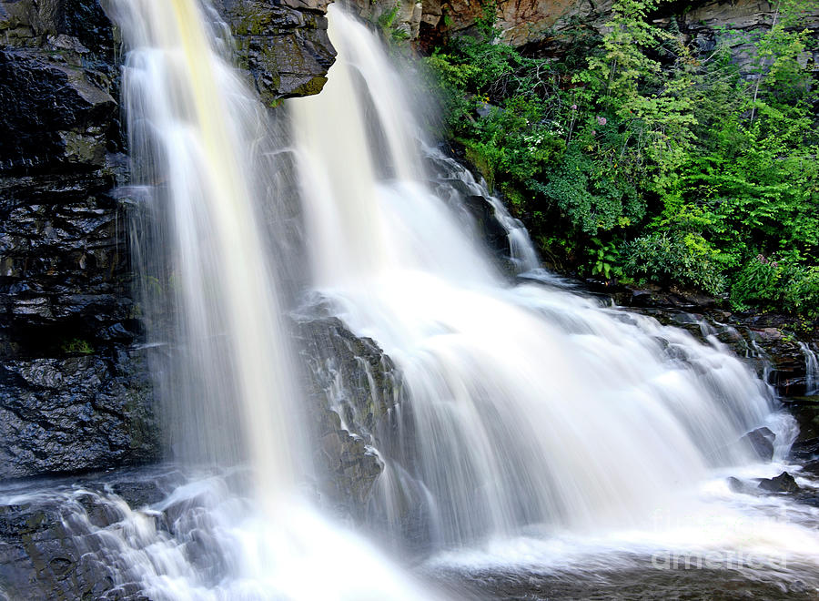 detail of Blackwater Falls - West Virginia Photograph by Brendan Reals