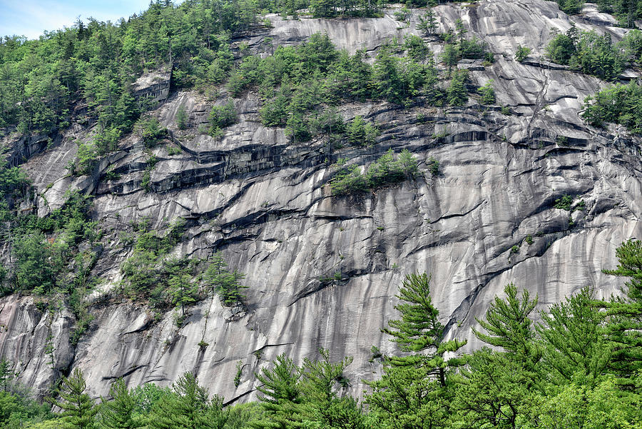 Detail of Cathedral Ledge, New Hampshire Photograph by Brendan Reals ...