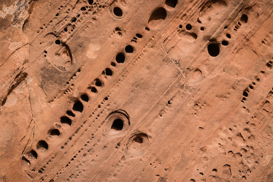 Detail of eroding sandstone Photograph by Raphael Schneider
