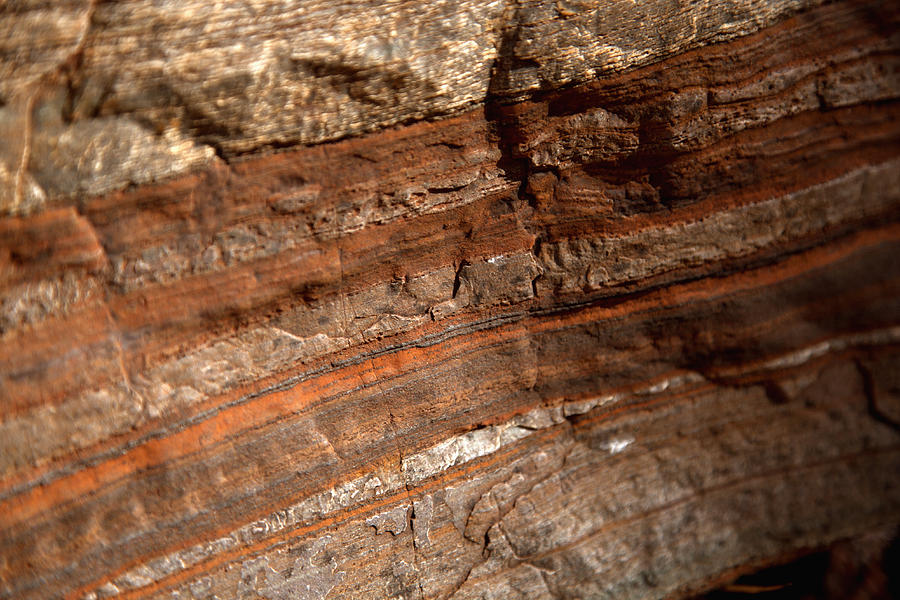 Detail of natural patterns in stone, Karijini National Park, Newman, Western Australia, Australia Photograph by Tobias Titz