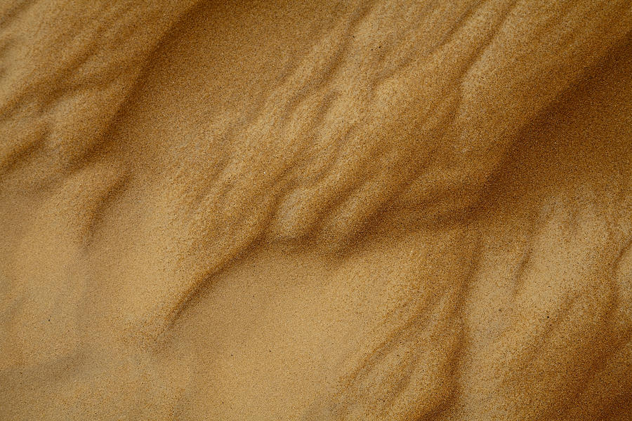 Detail of sand in Wahiba Sands desert. Photograph by Holger Leue