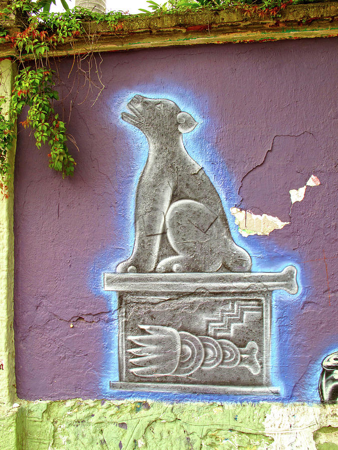 Detail of street art, Avenida Chapultepec, Oaxaca Mexico Photograph by Lorena Cassady