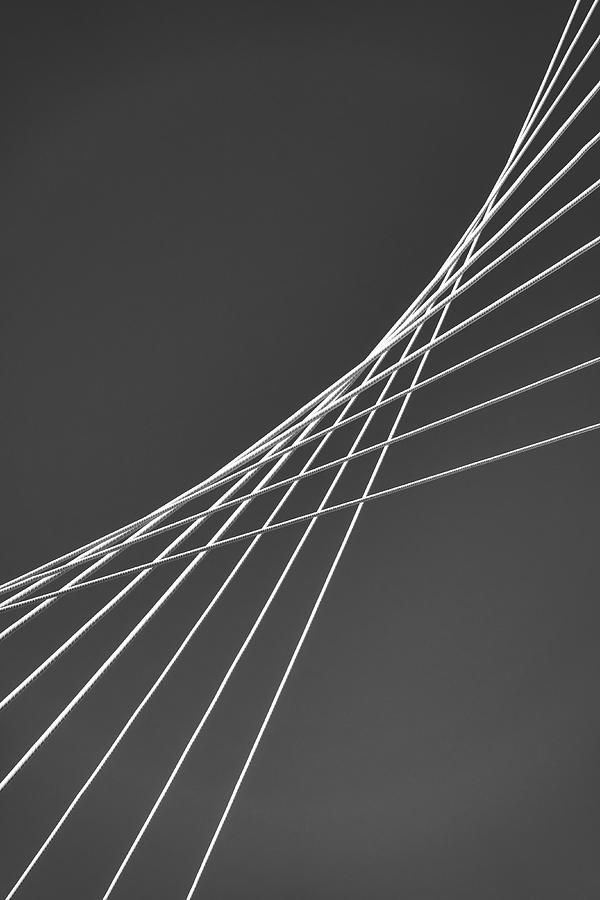 Detail of the cables of the Ponte Ennio Flaiano Photograph by Fabrizio Troiani