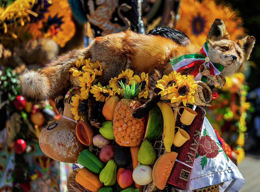 Detail of Traditional Costume Cinco de Mayo Parade NYC 2023 Photograph