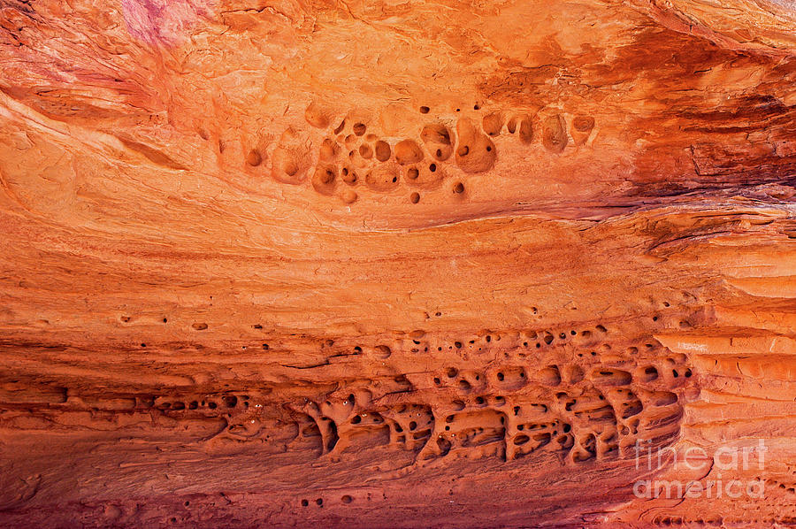 Detailed Colored Rock Design at Big Spring Canyon Overlook Photograph by Bob Phillips