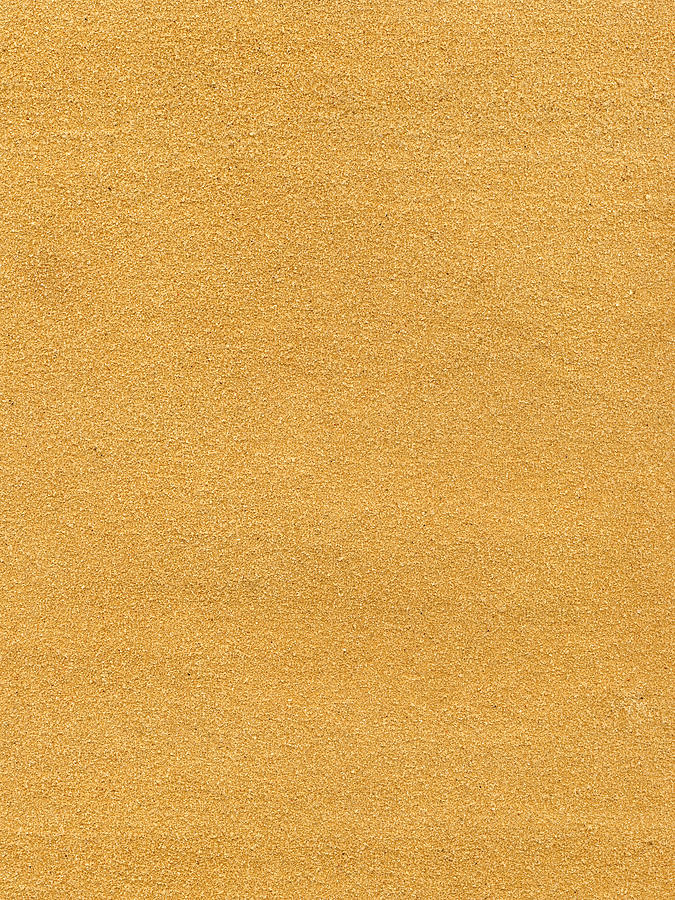 Detailed scan of sandpaper Photograph by 4x6