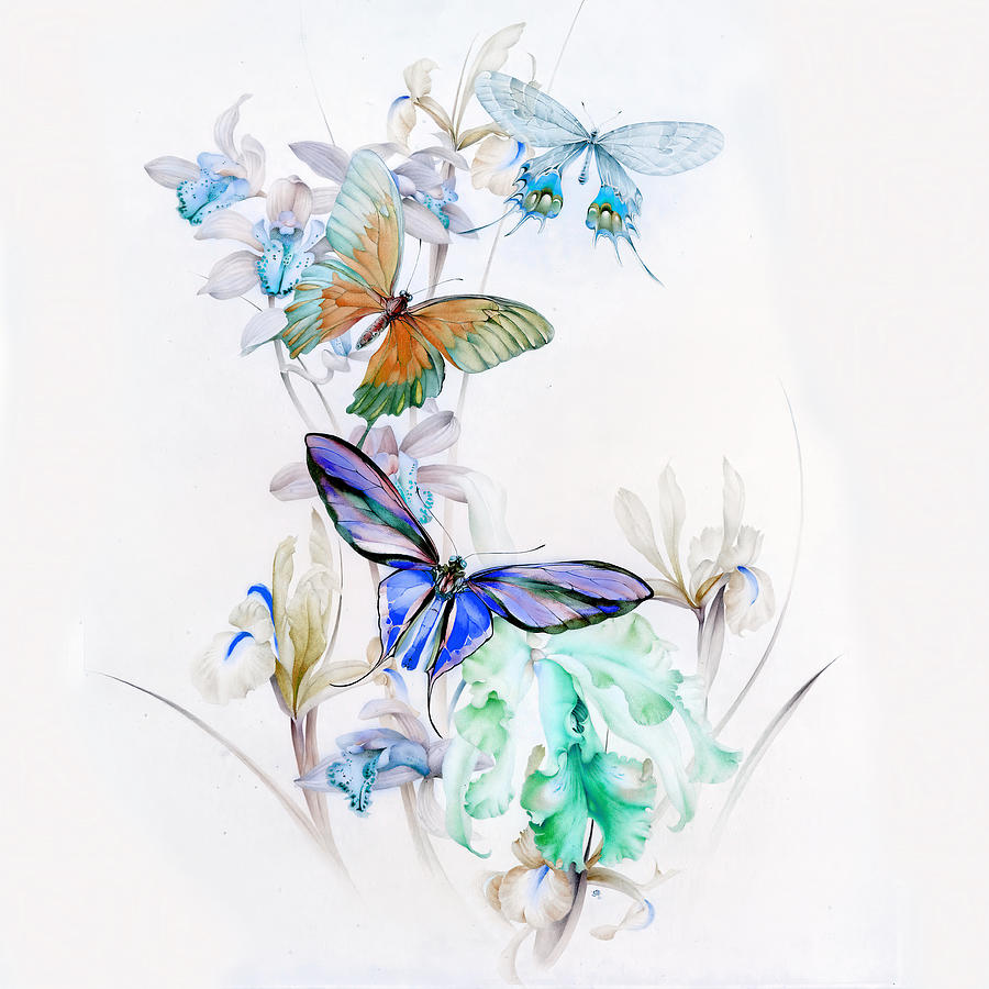 Detmold Blue Butterflies Photograph by Munir Alawi