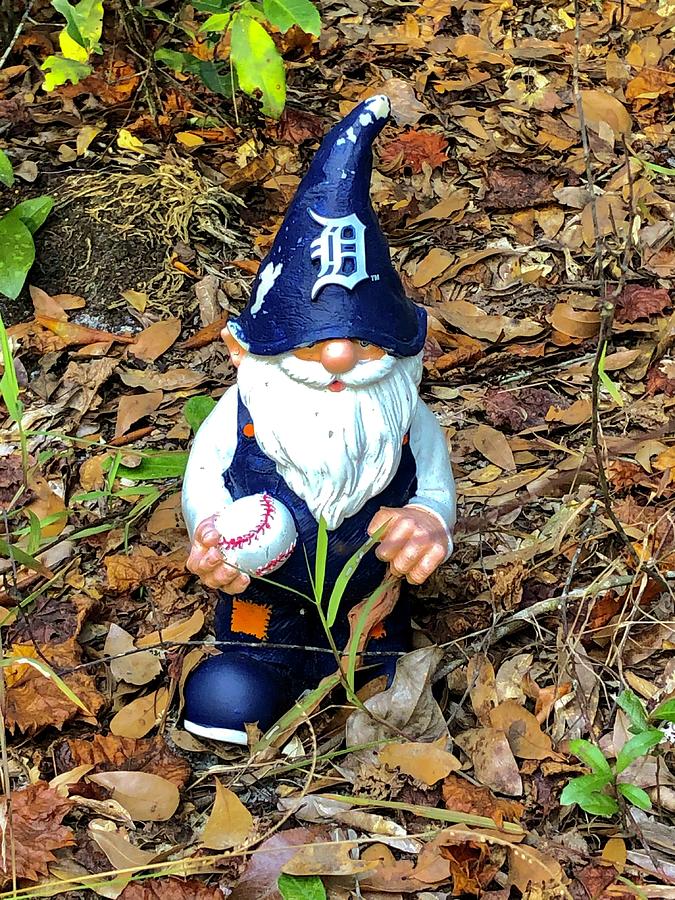 Detroit Tigers Gnome Photograph by Denise Mazzocco | Fine Art America