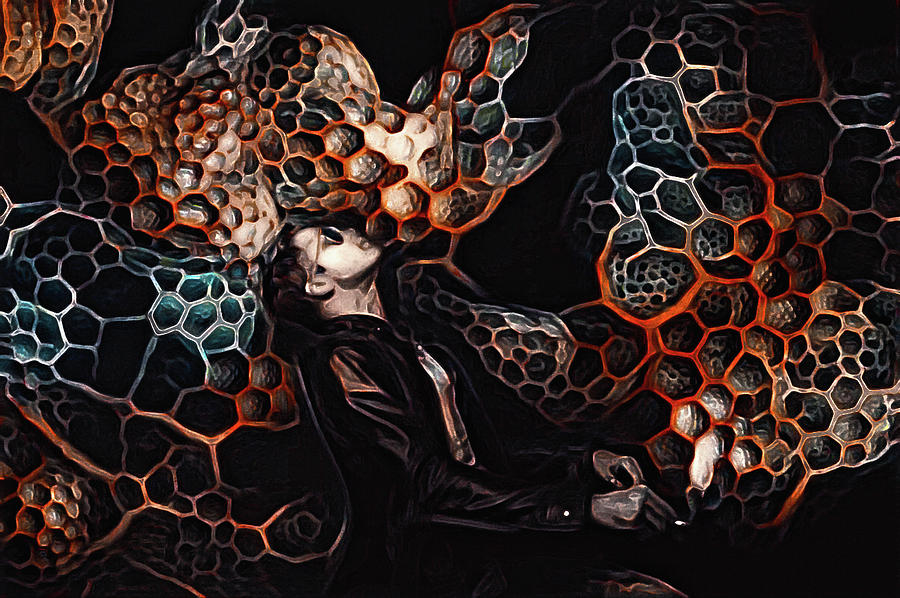 Deviant Illusions of the Hivemind Digital Art by Susan Maxwell Schmidt