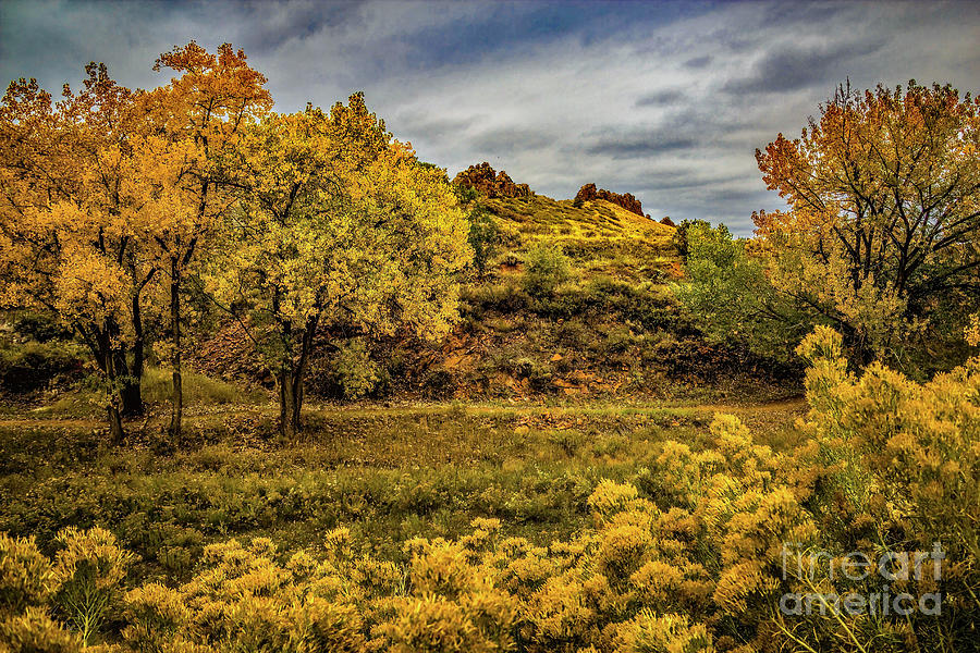 Devils Backbone Autumn Colors Photograph by Jon Burch Photography