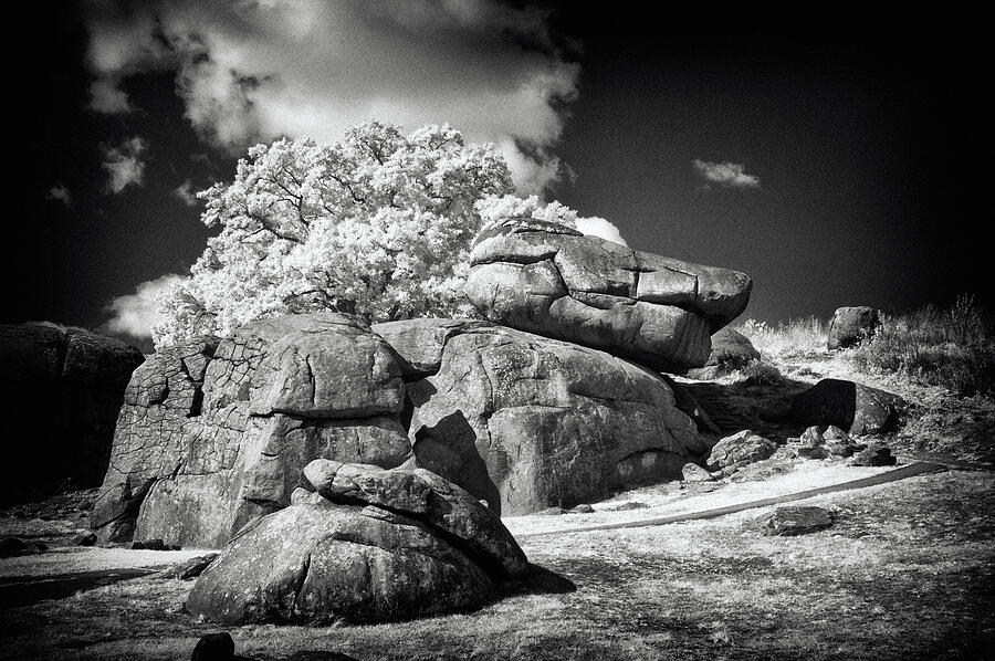 Devils Den - Gettysburg Photograph by Paul W Faust -  Impressions of Light