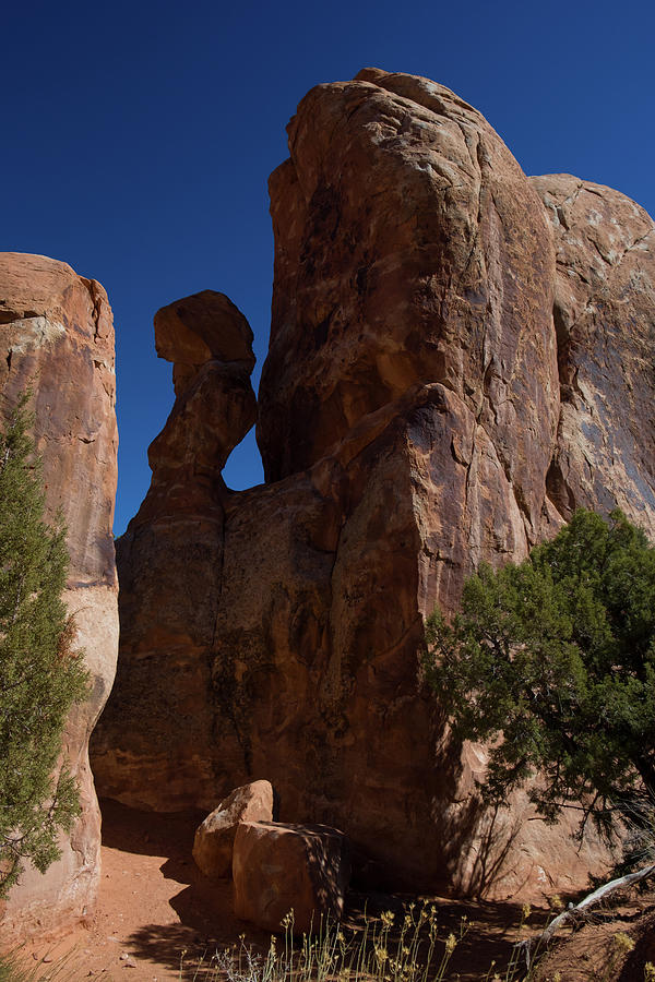 Devils Garden Trail in Arches National Park Photograph by David L Moore