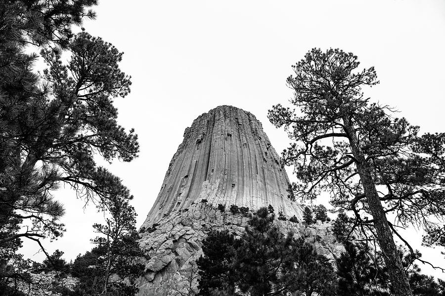Devils Tower Black And White Base View Photograph by Dan Sproul