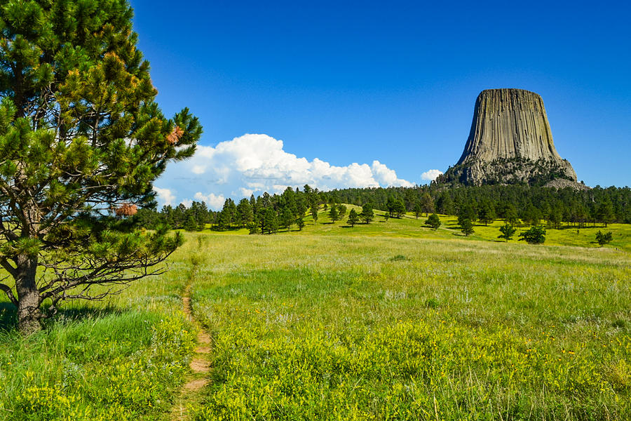 Devils Tower Photograph by Bonny Puckett