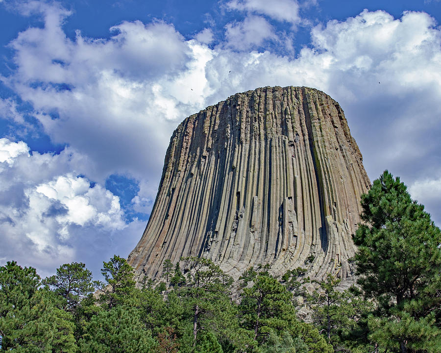 Devil's Tower Photograph by Charles Edward Church | Fine Art America