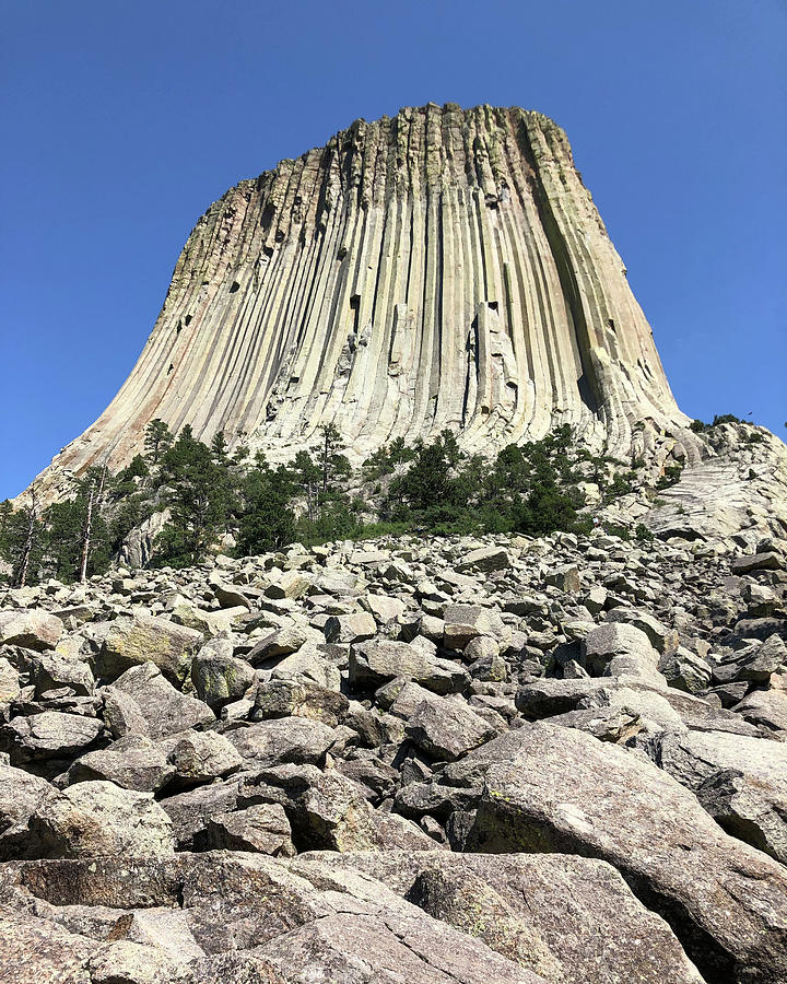 Devils Tower Photograph by Gerry Sibell