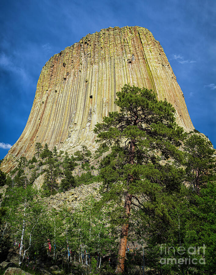 Devils Tower in Wyoming Photograph by Nick Zelinsky Jr