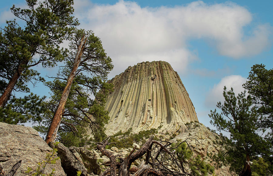 Devils Tower Looking Up Photograph by Dan Sproul