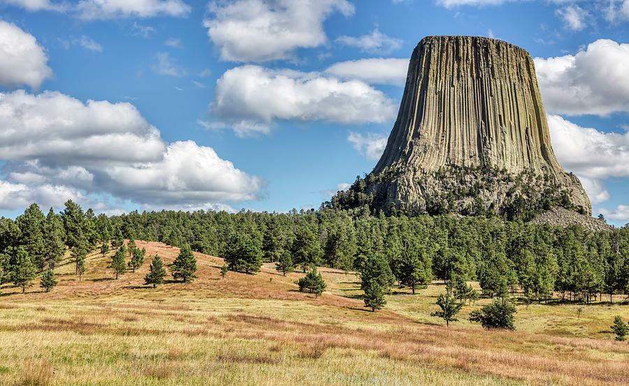 Tree Photograph - Devils Tower by Mountain Dreams