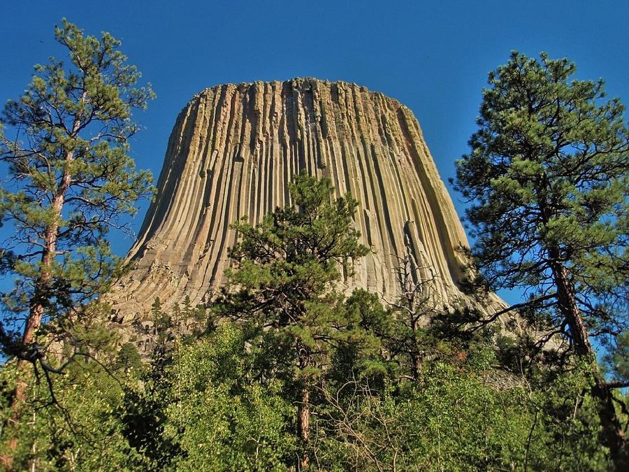 Devils Tower National Monument Photograph by Dennis Boyd