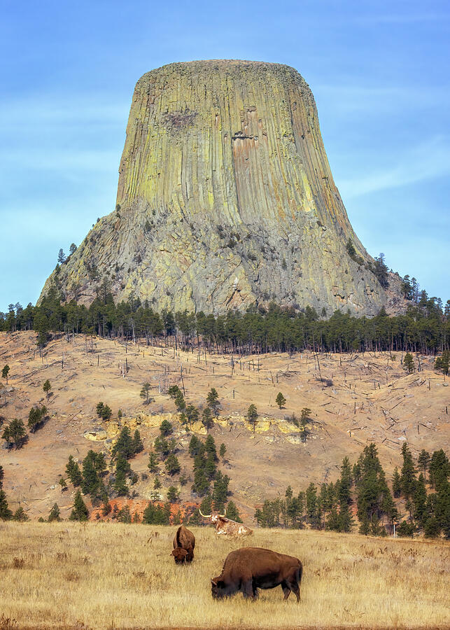 Devils Tower National Monument Photograph - Devils Tower National Monument - Wyoming by Susan Rissi Tregoning