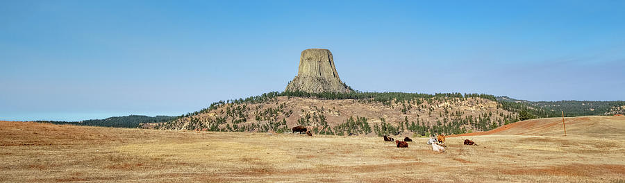 Devils Tower on the Prairie Photograph by Mark Duehmig