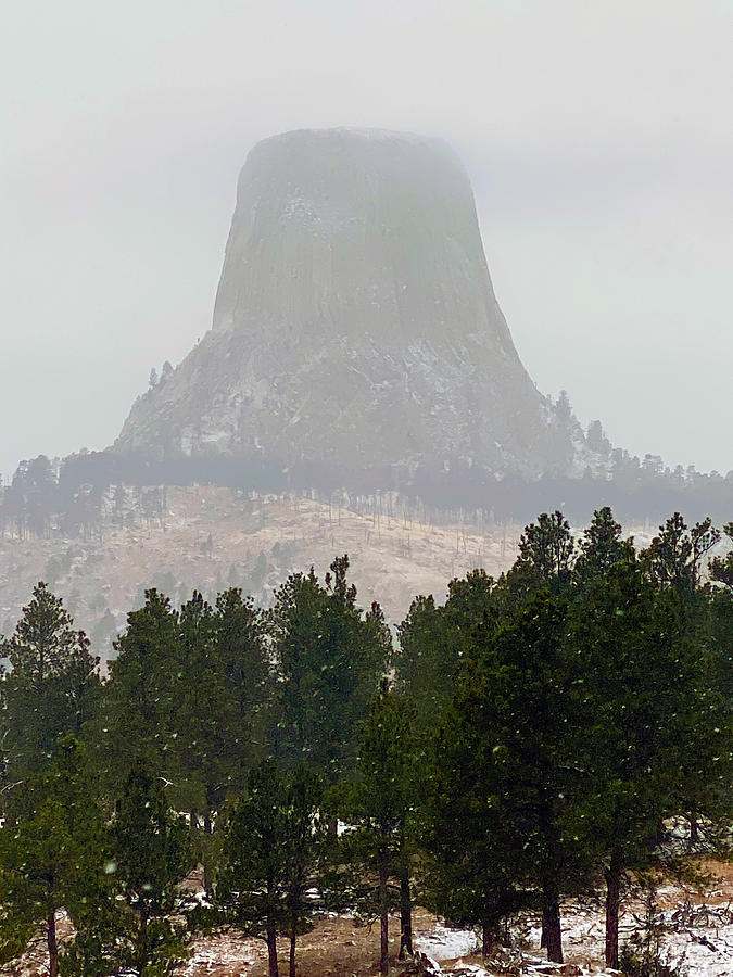 Devils Tower Wyoming #2 Painting by Ses