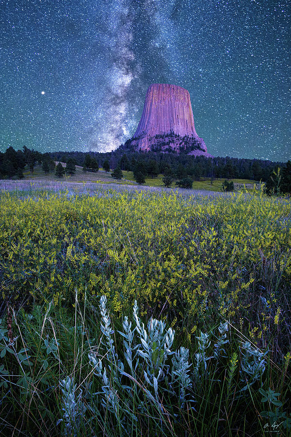 Devils Tower Stars Photograph by Aaron Spong
