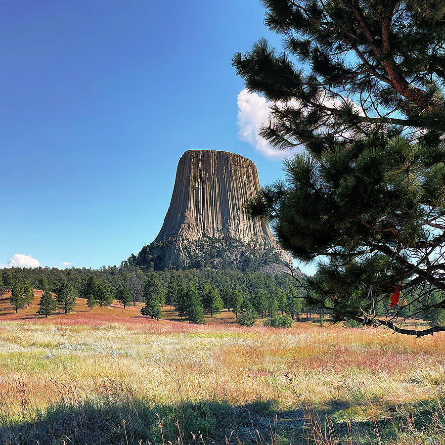 Nature Photograph - Devils Tower Wyoming by Bill Swartwout