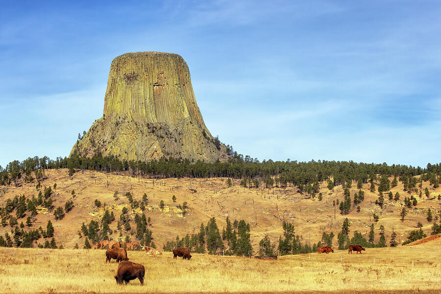 Devils Tower - Wyoming Photograph by Susan Rissi Tregoning