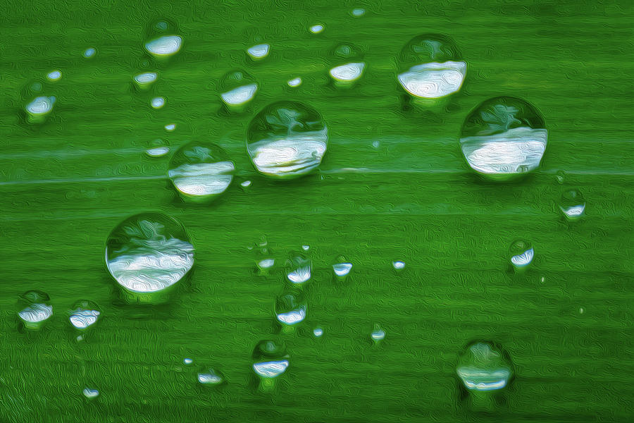 Dew On Green Photograph by John Kirkland