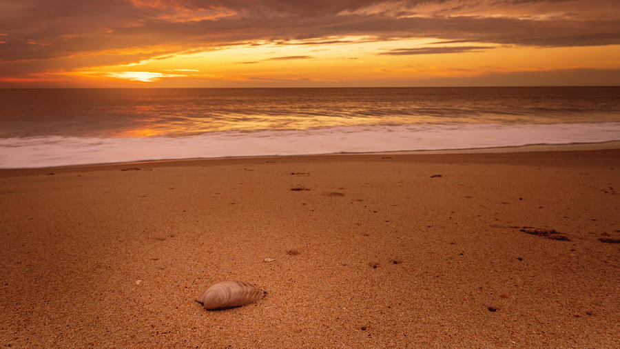 Dewey Beach Sunrise, Sand and Shells Photograph by Jason Fink
