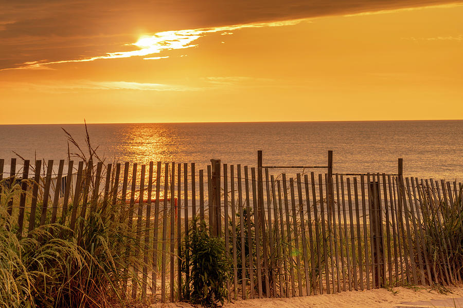 Dewey Beach Sunrise Sand Fence Photograph by Jason Fink - Pixels