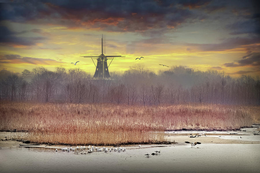 De Zwaan Dutch Windmill Landscape in an Early Morning Sunrise Photograph by Randall Nyhof