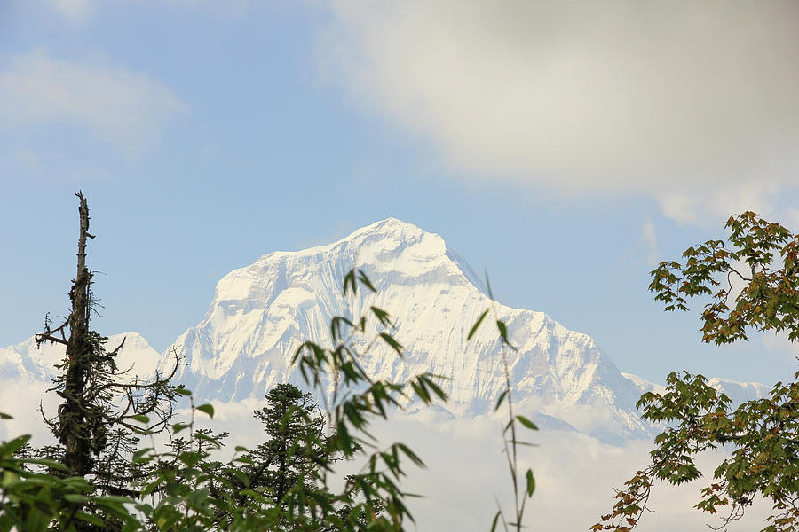 Dhaulagiri Mountain  Photograph by Josu Ozkaritz