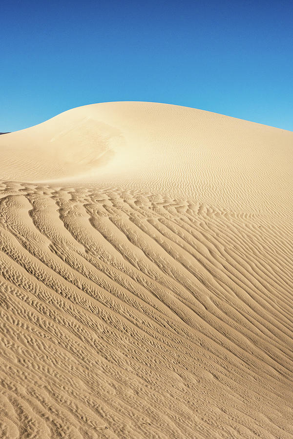 Diagonal Dunes Photograph by Kelly VanDellen