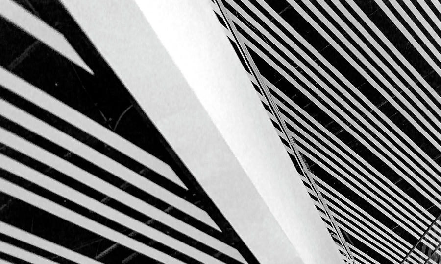 Diagonal Trick in Black and White Photograph by John Williams