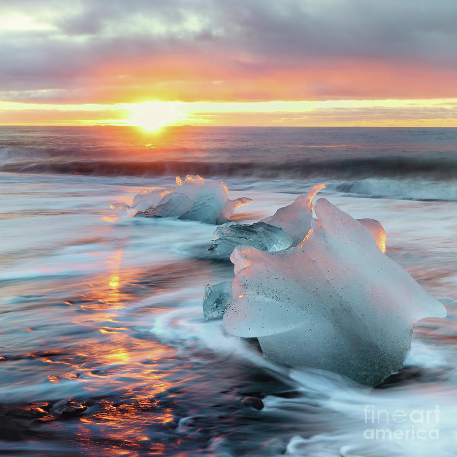 Diamond beach, Iceland. Sunrise shot of chunks of ice on the black sand, that have been deposited on the beach from the Jokulsarlon glacier lagoon. Photograph by Jane Rix