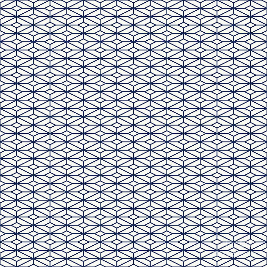Diamond Cross Lattice Pattern in Soft White And Navy Blue n.3066 Painting by Holy Rock Design