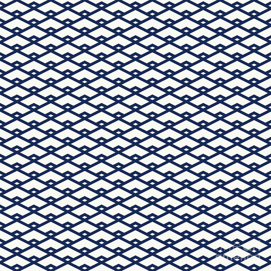 Diamond Grid With Inset Pattern in Soft White And Navy Blue n.3099 Painting by Holy Rock Design