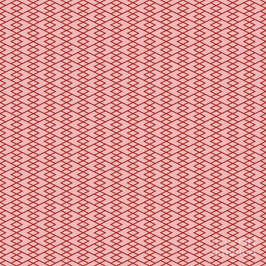 Diamond Grid With Triple Inset Pattern in Light Coral And Venetian Red n.2741 Painting by Holy Rock Design