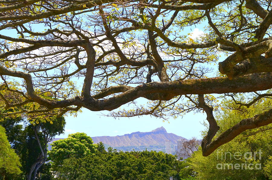 Diamond Head View from Punchbowl in Makiki - 2 Photograph by Mary Deal