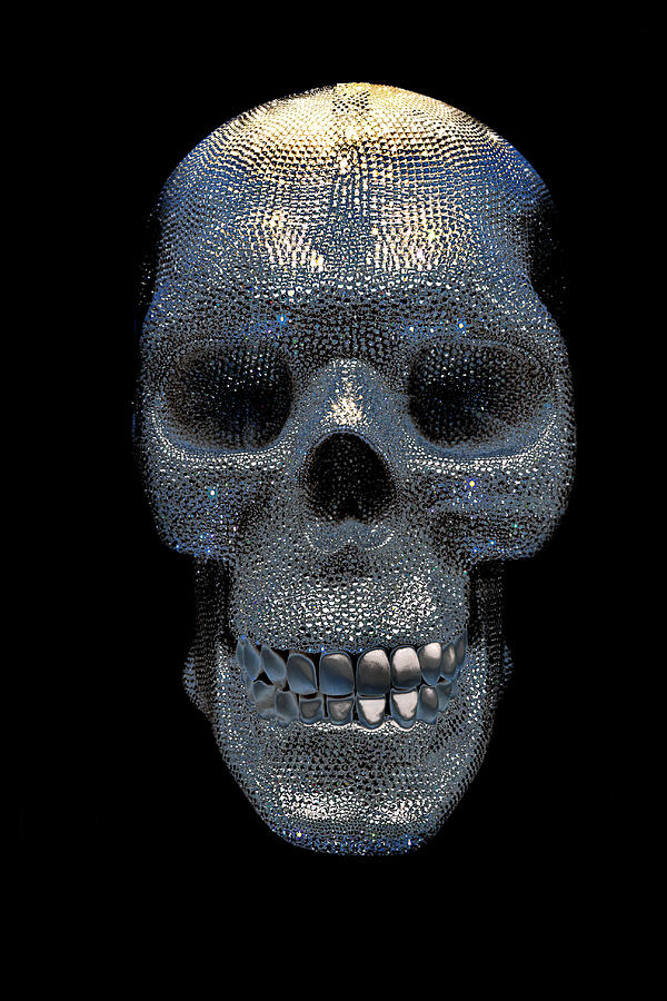 Diamond Skull Photograph by Worldwide Photography
