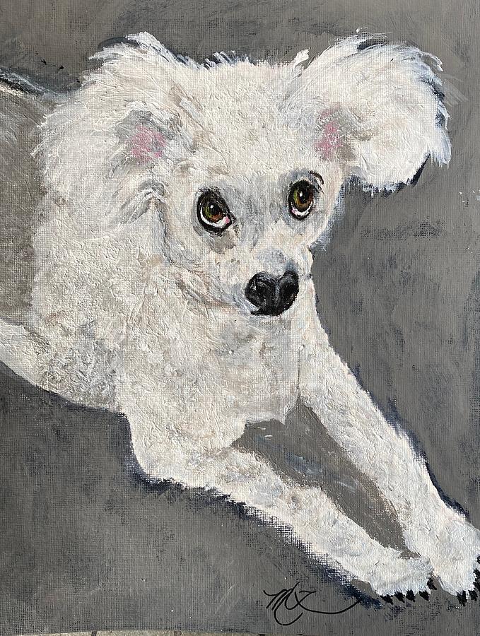 Diamonique the Poodle  Painting by Melody Fowler