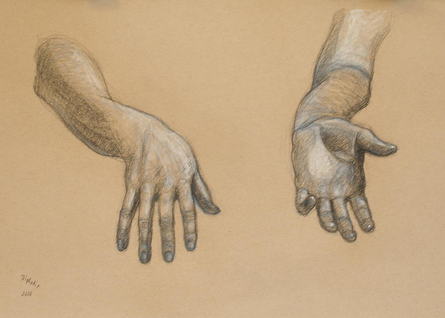 Realism Drawing - Dianes Hands by Donelli  DiMaria