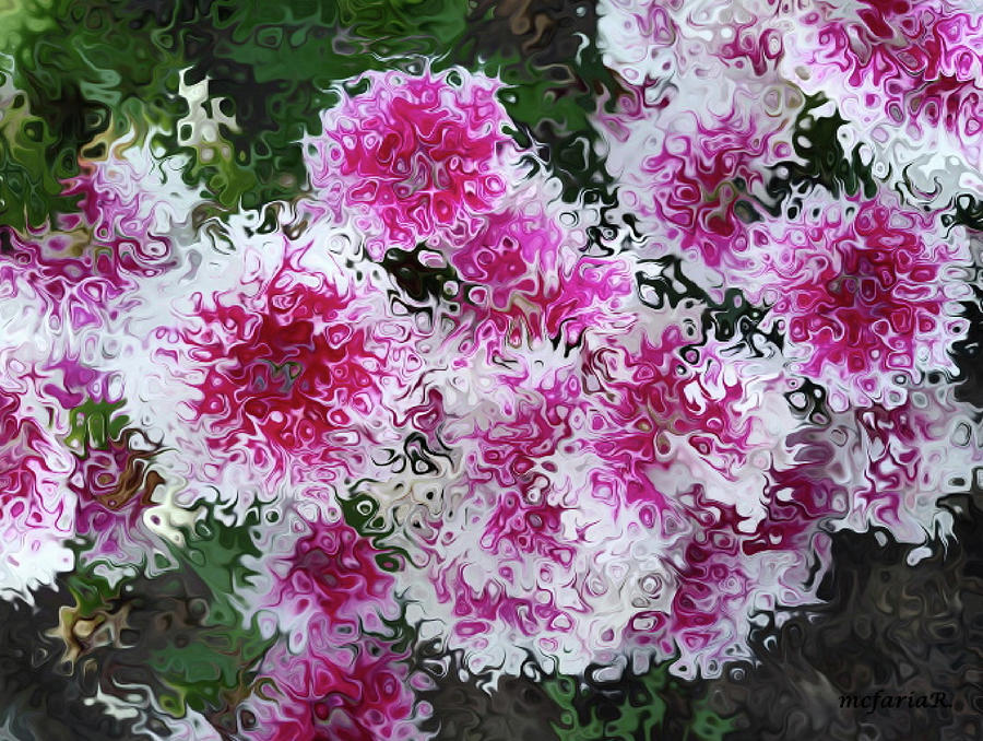 Abstract Digital Art - Dianthus Dance by Maria Faria Rodrigues