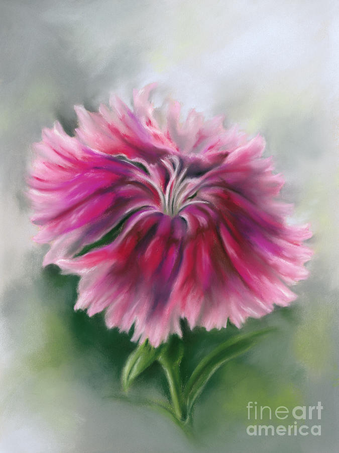 Dianthus Sweet William Pink Painting by MM Anderson