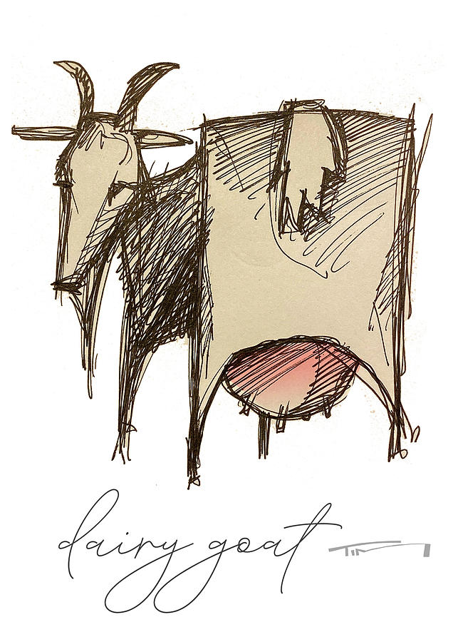 Diary Goat Drawing by Tim Nyberg