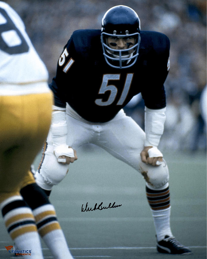Dick Butkus Chicago Bears Middle Linebacker Photograph by Action
